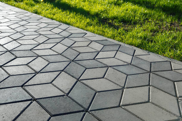 Best Affordable Driveway Paving  in Thorp, WI